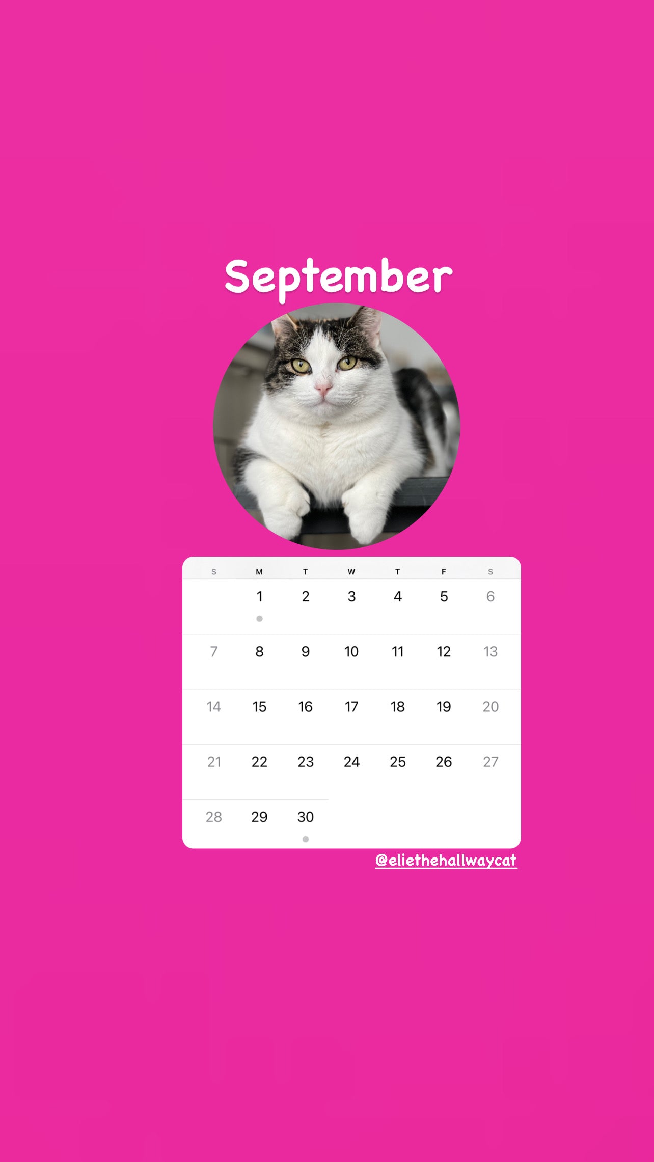 Elie’s Flirt Flop Calendar 2025