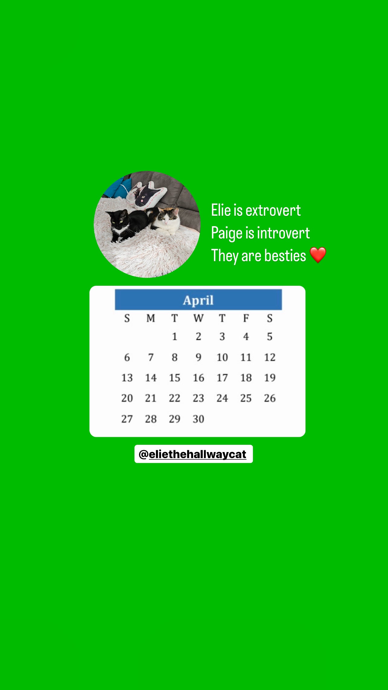 The Hallway Crew Calendar 2025