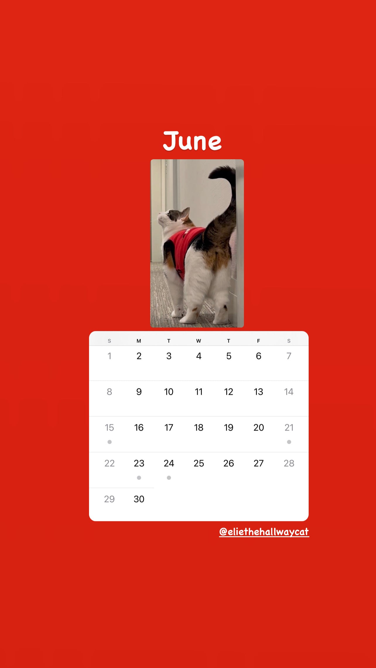 Elie’s Flirt Flop Calendar 2025