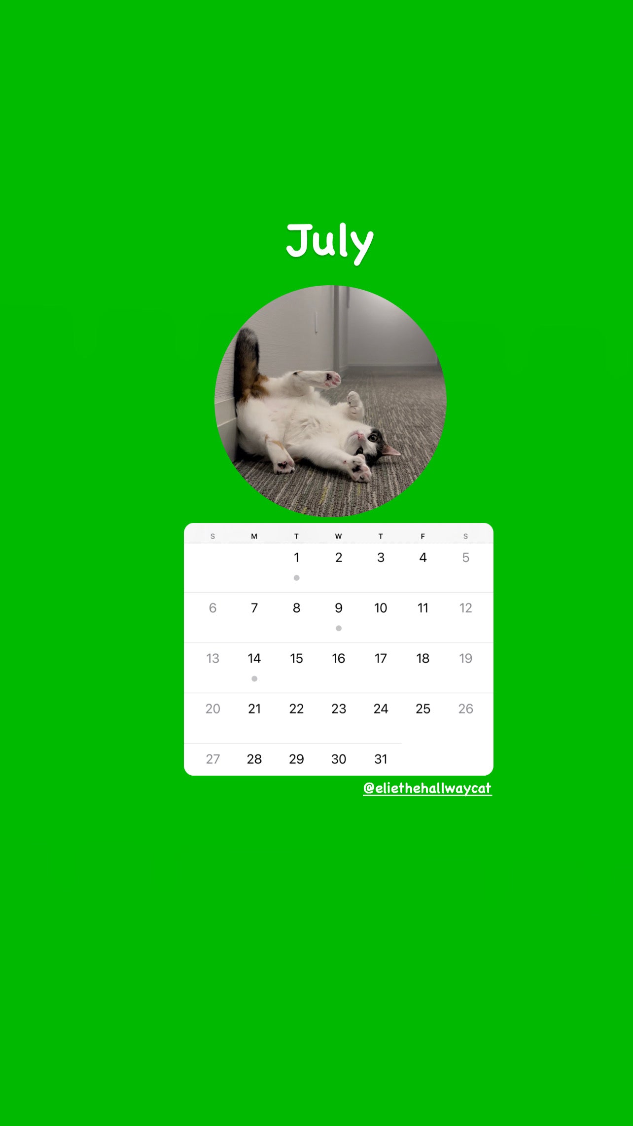 Elie’s Flirt Flop Calendar 2025