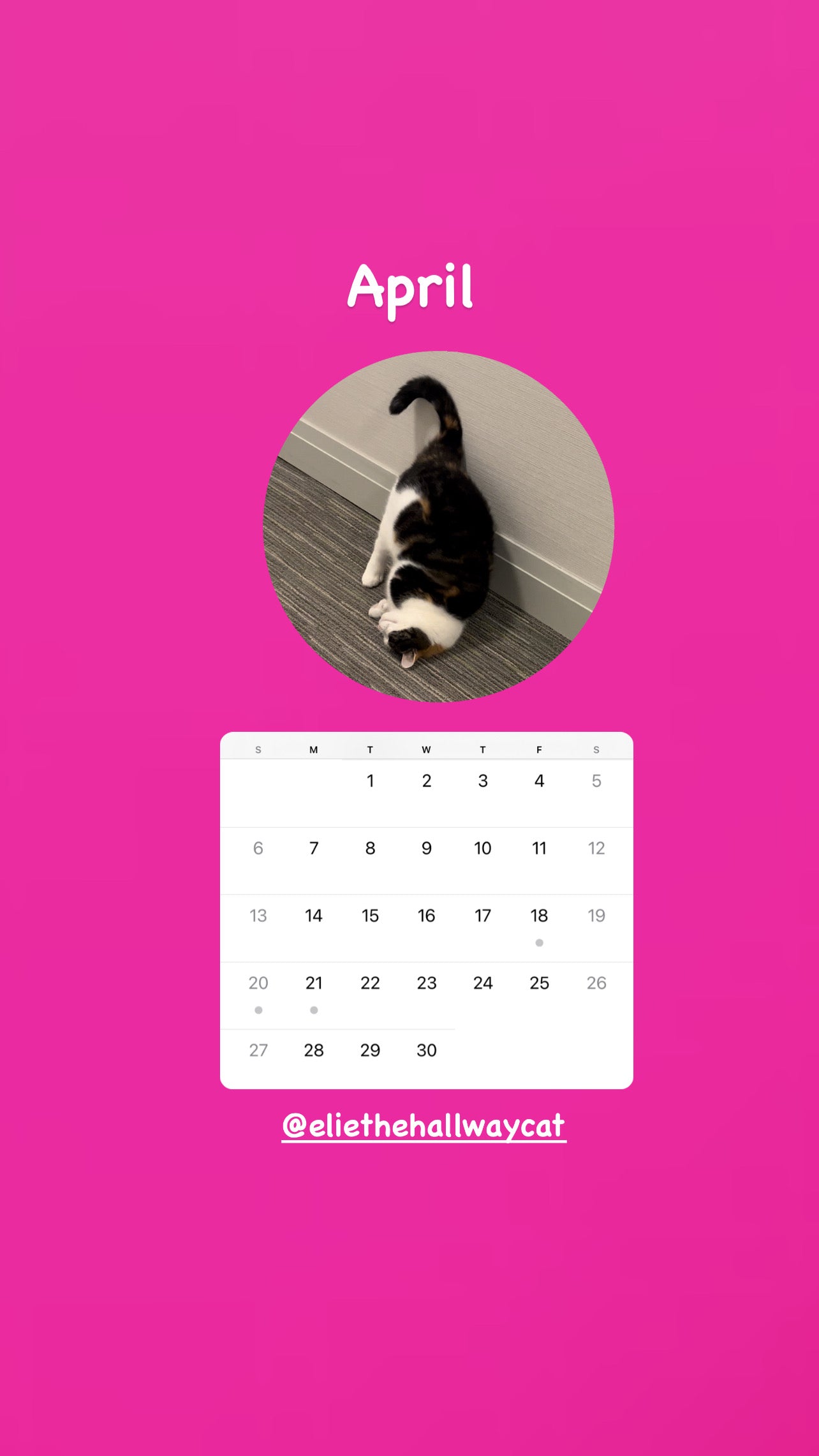 Elie’s Flirt Flop Calendar 2025