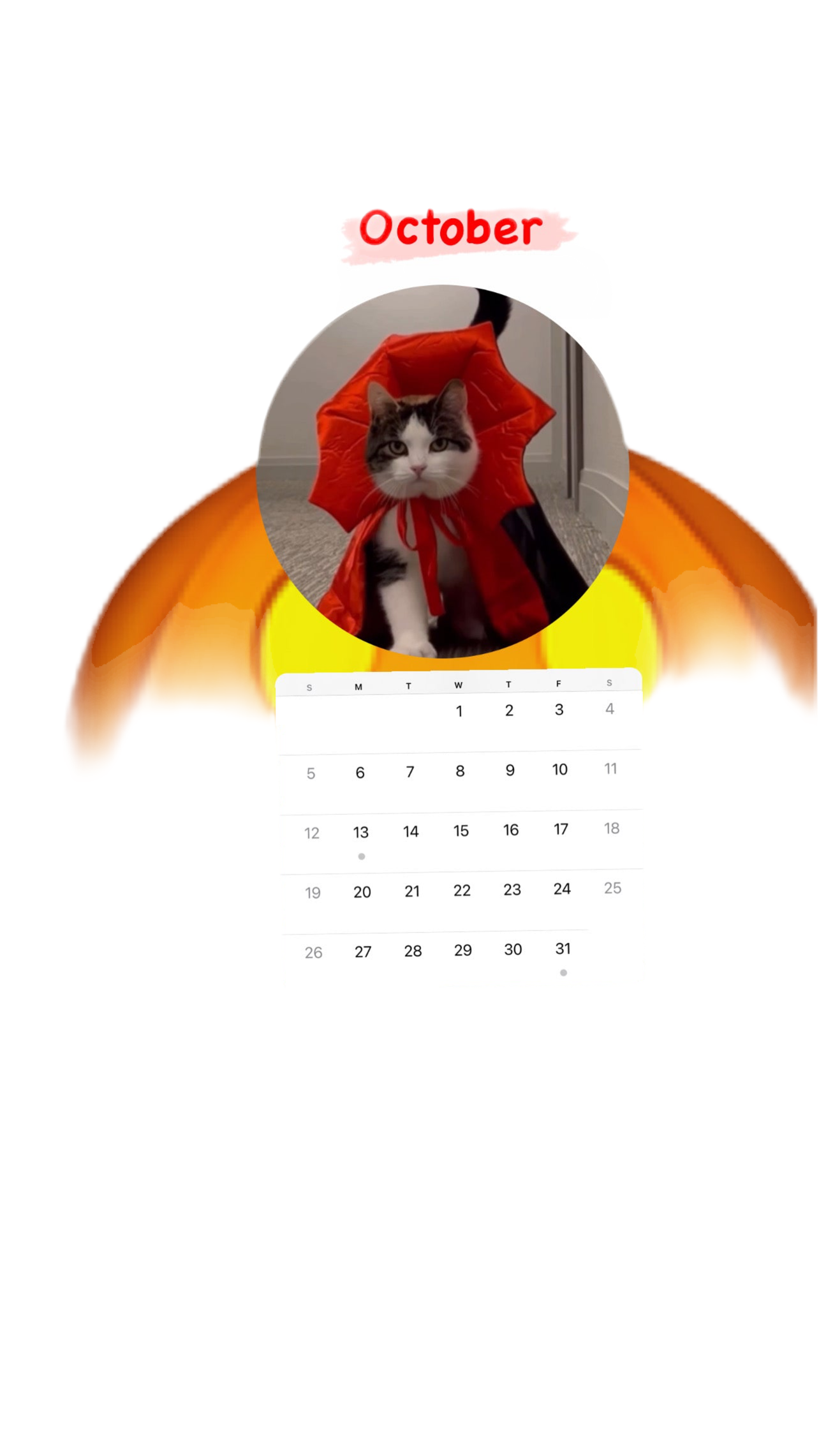 Elie’s Flirt Flop Calendar 2025