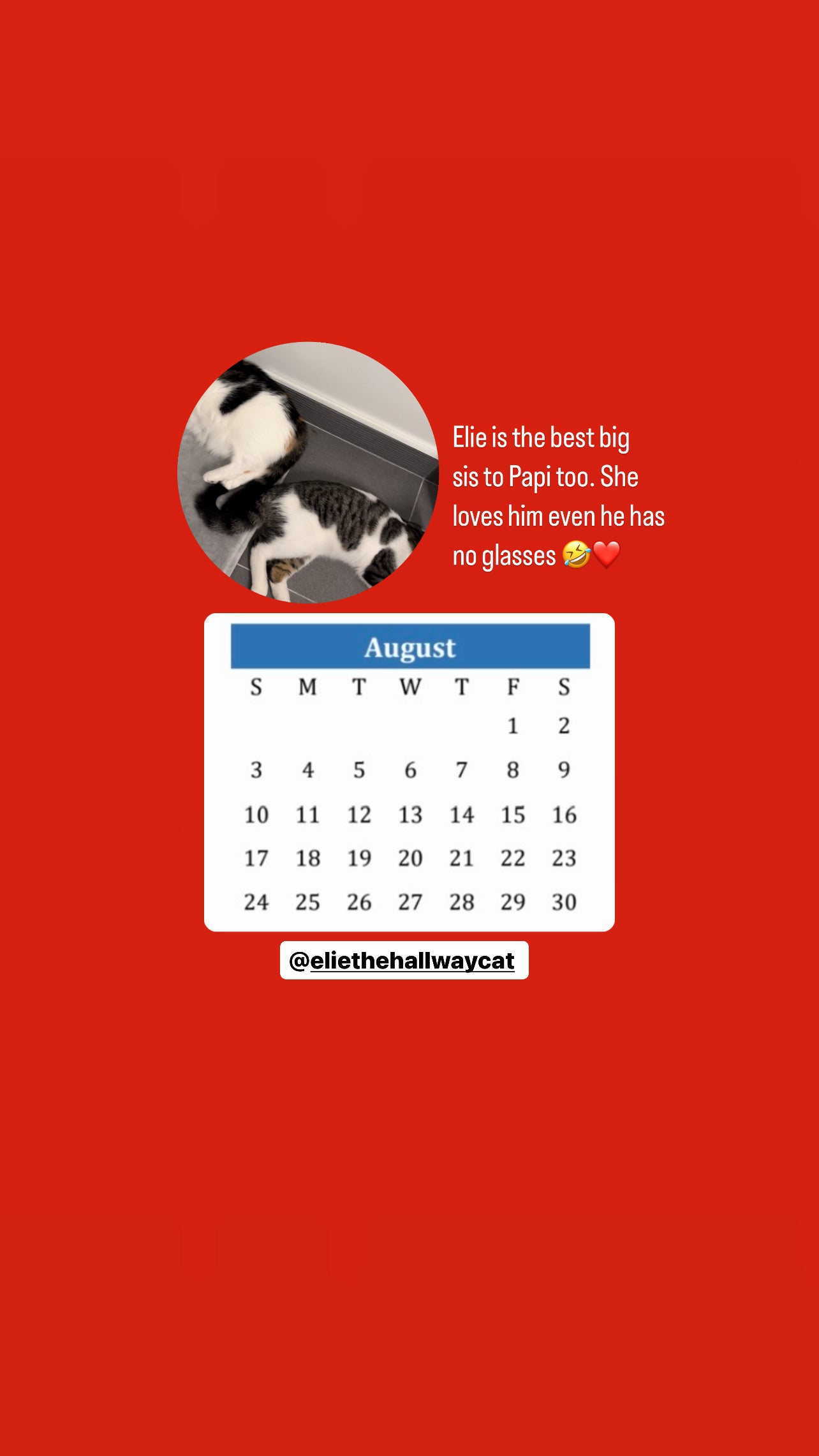 The Hallway Crew Calendar 2025