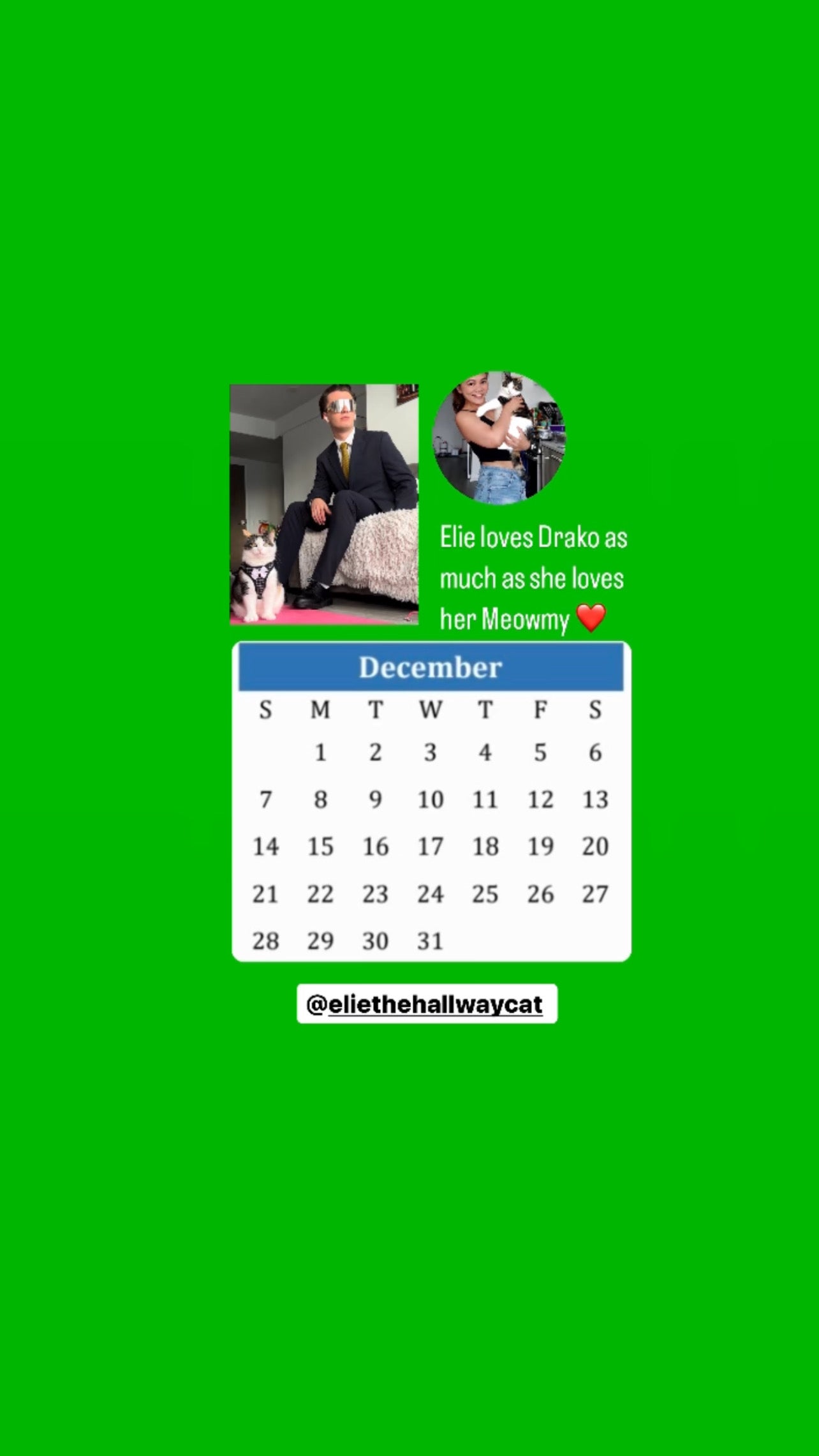 The Hallway Crew Calendar 2025