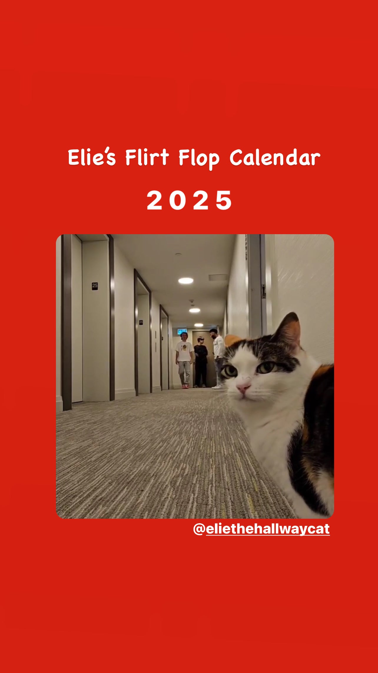 Elie’s Flirt Flop Calendar 2025