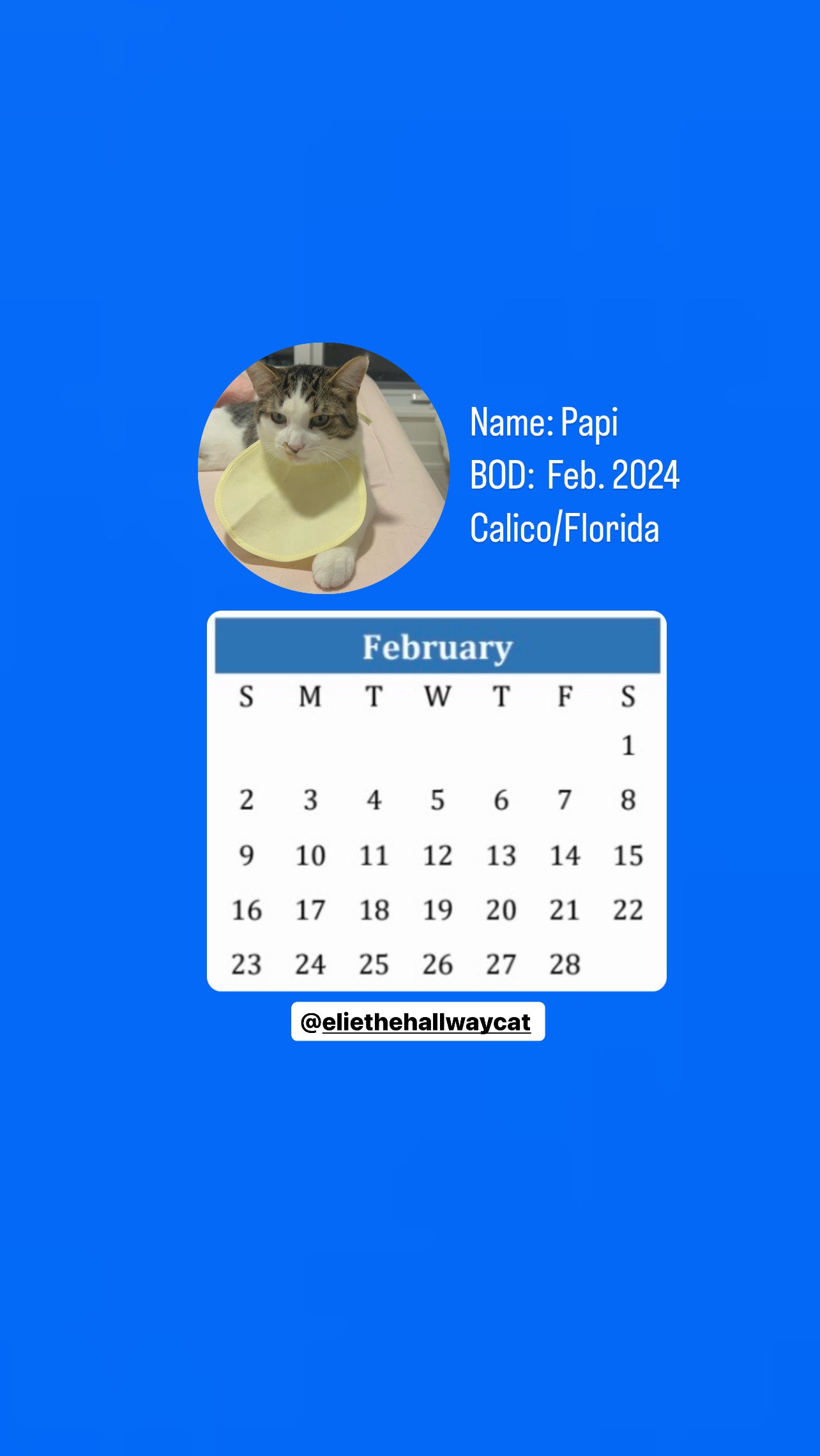 The Hallway Crew Calendar 2025