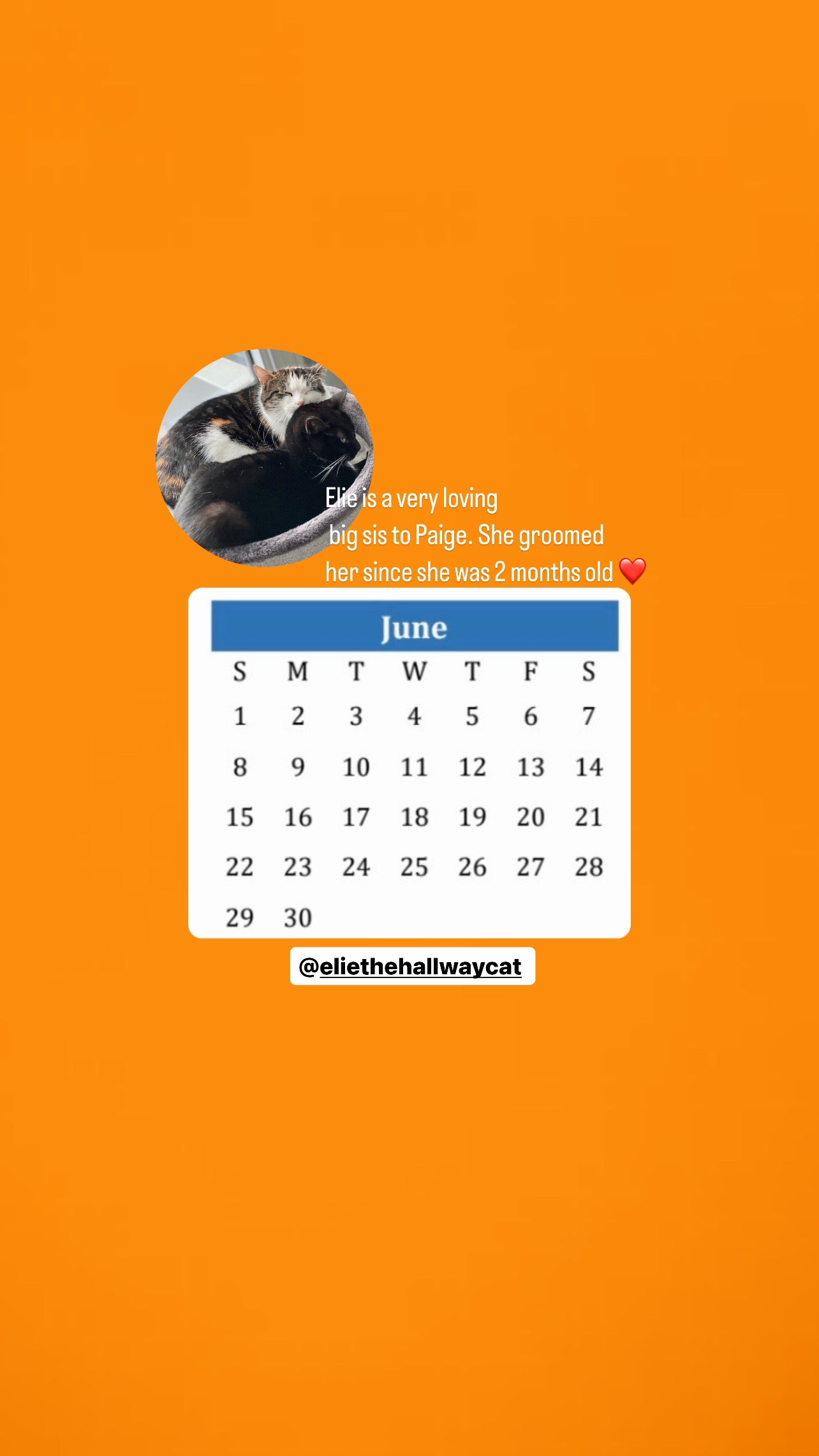 The Hallway Crew Calendar 2025