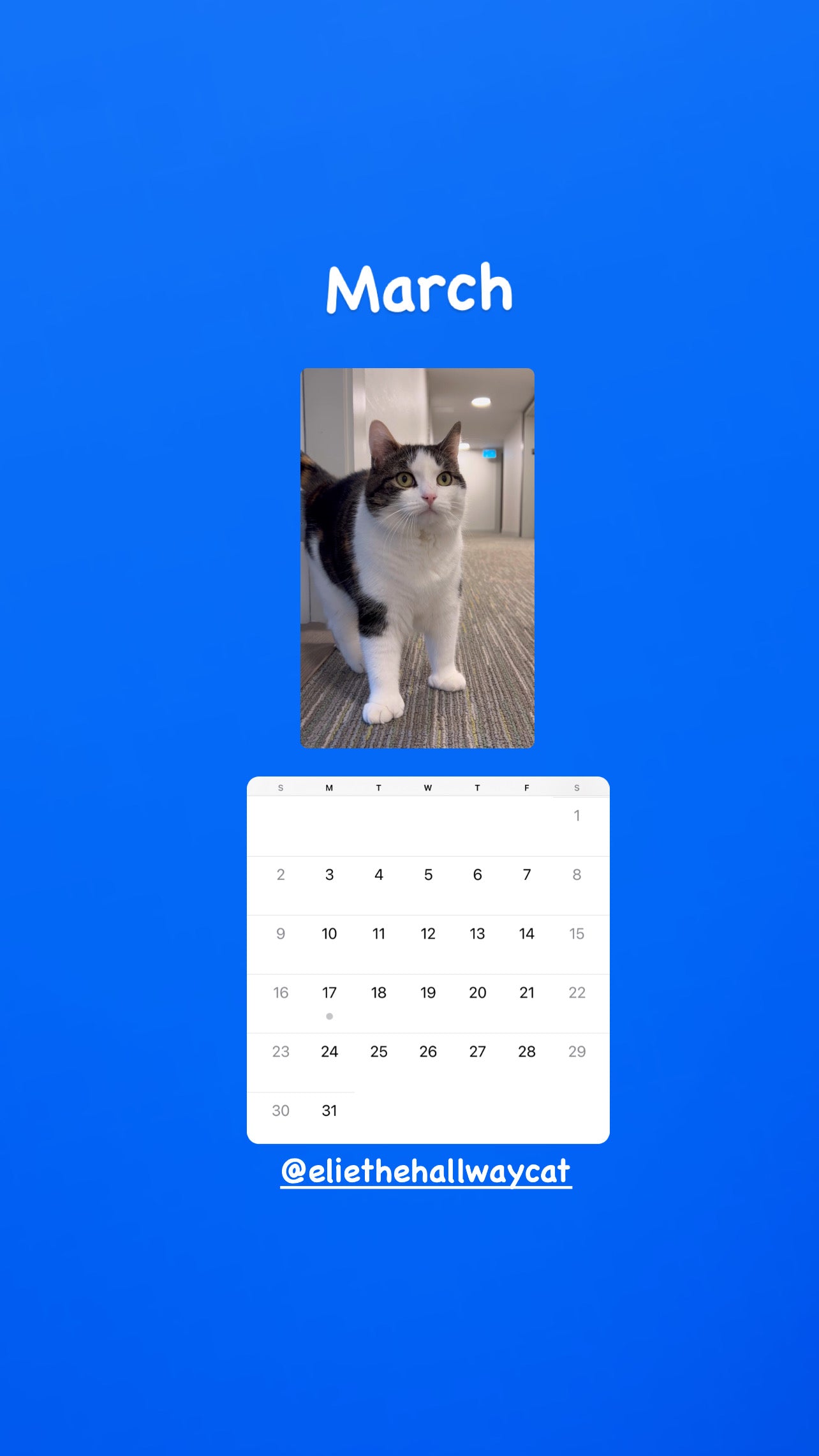 Elie’s Flirt Flop Calendar 2025