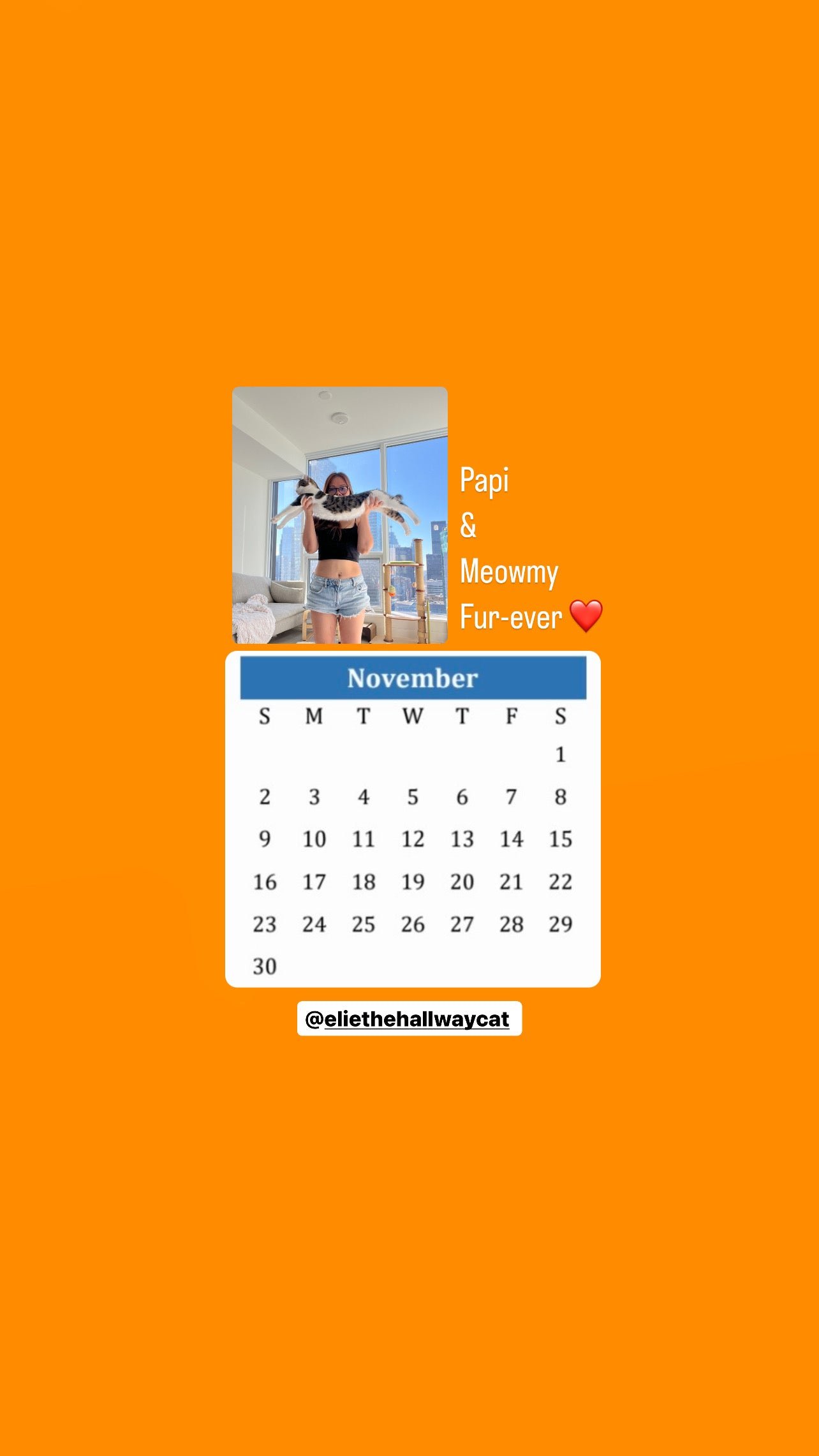 The Hallway Crew Calendar 2025