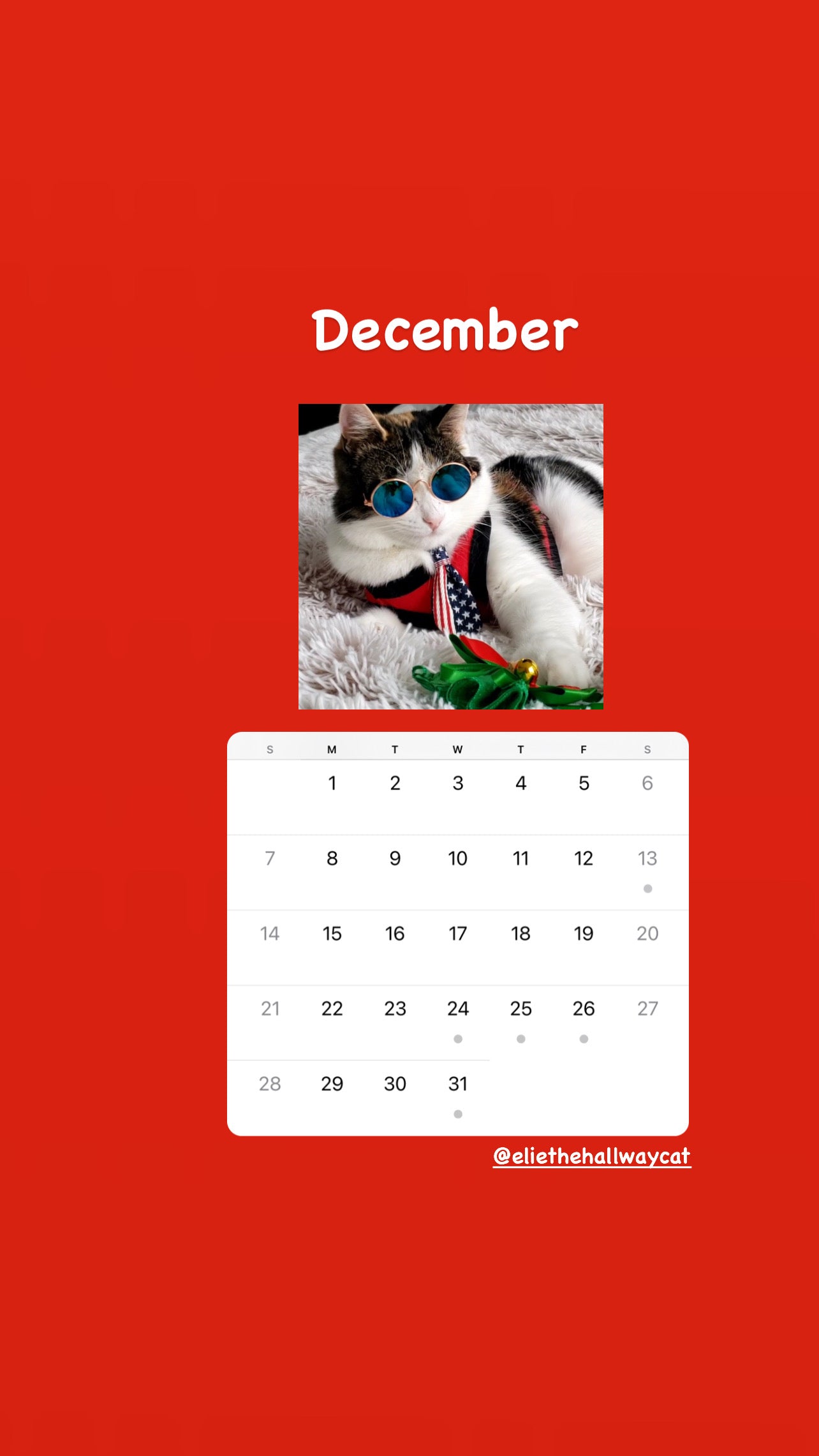 Elie’s Flirt Flop Calendar 2025