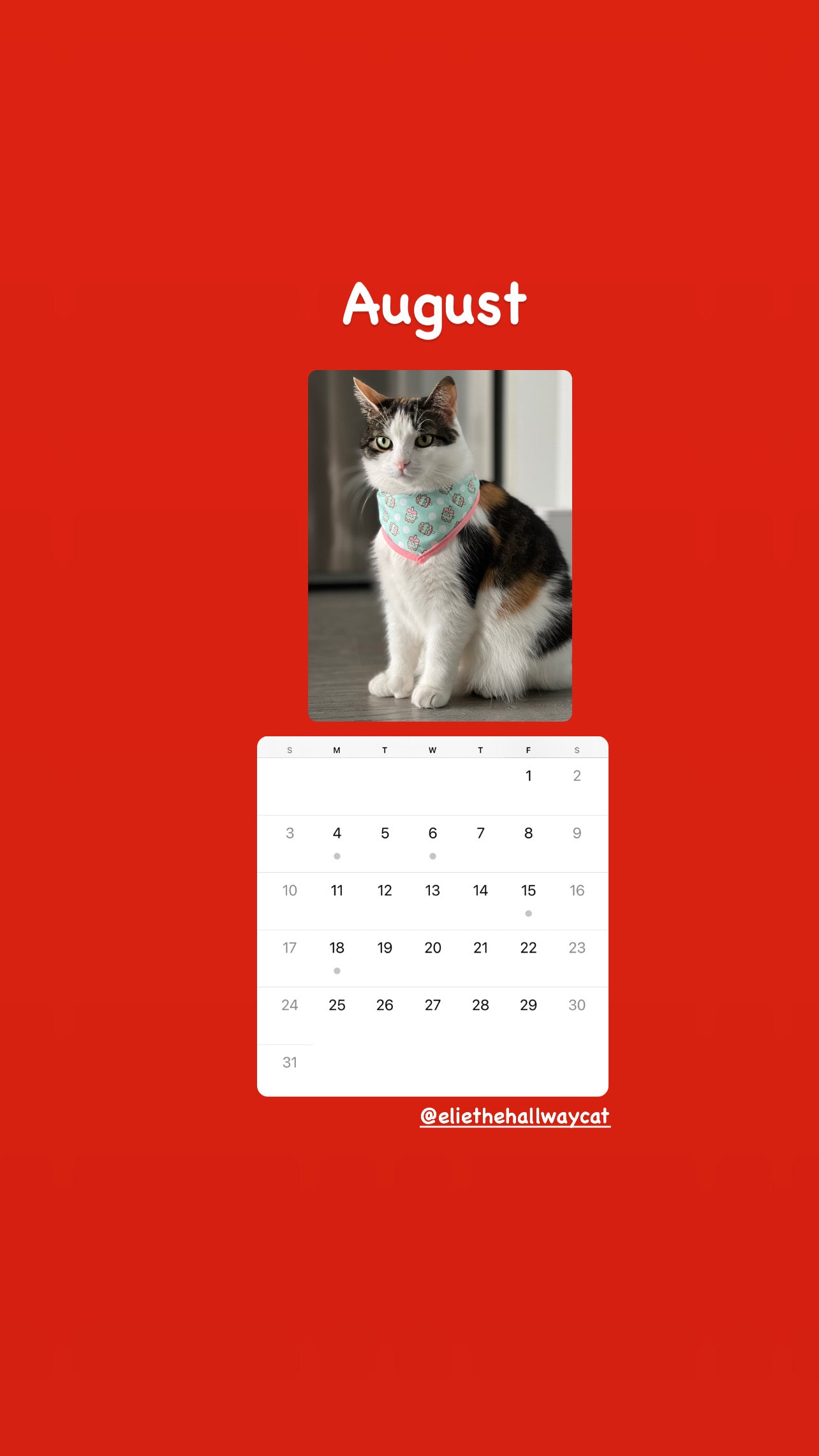 Elie’s Flirt Flop Calendar 2025
