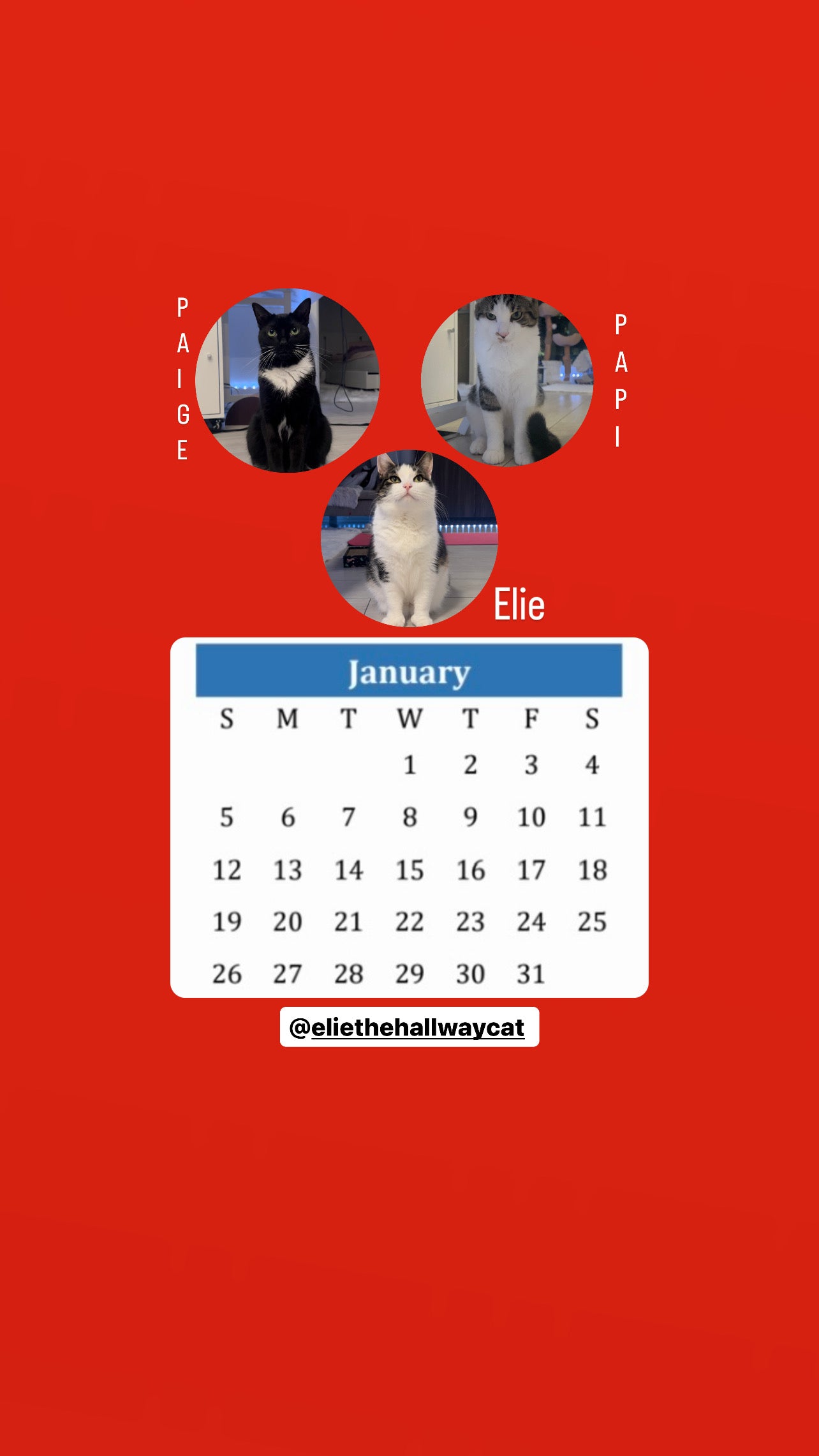 The Hallway Crew Calendar 2025