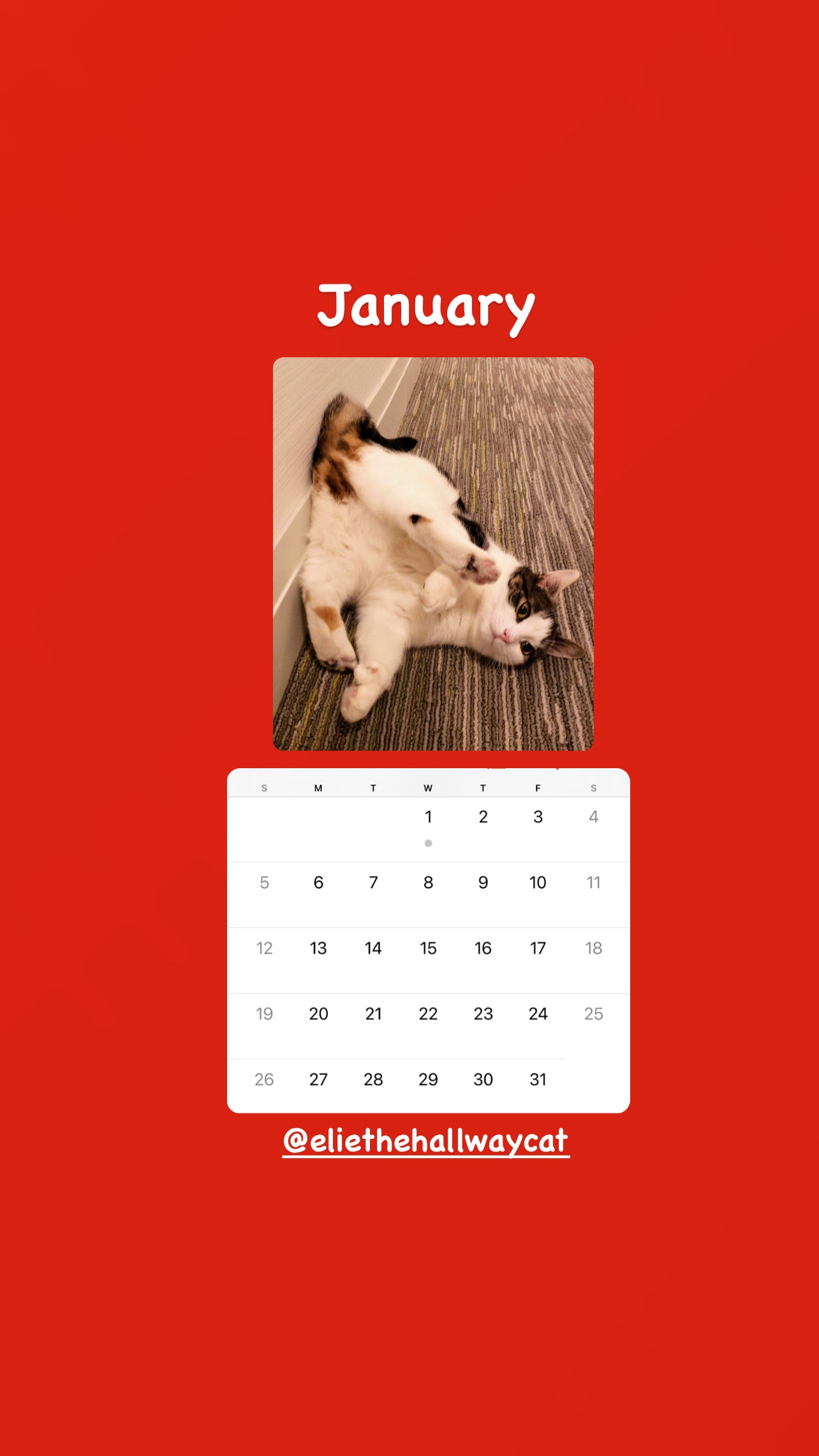 Elie’s Flirt Flop Calendar 2025