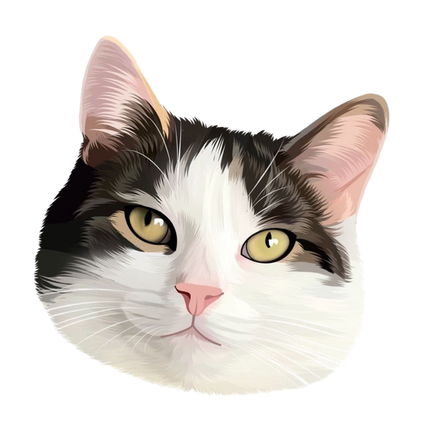 Elie The Hallway Cat